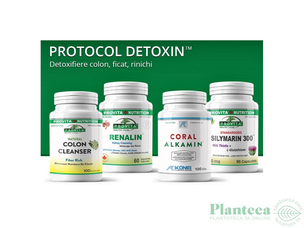 Protocol Detoxin 30zile [detoxifiere colon, ficat, rinichi] 4b - PROVITA