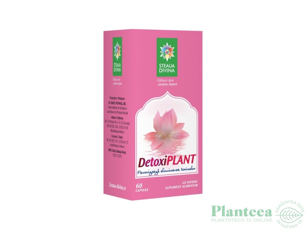 Detoxiplant 60cps - SANTO RAPHAEL