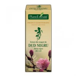 Gemoderivat dud negru muguri 50ml - PLANTEXTRAKT