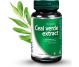 Ceai verde extract 1x30cps - DVR PHARM