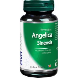 Angelica sinensis 30cps - DVR PHARM