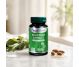 Brusture extract 30cps - DVR PHARM