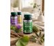 Brusture extract 30cps - DVR PHARM