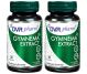 Set Gymnema extract 2x30cps - DVR PHARM