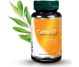 Set Calciu D3 3x60cps - DVR PHARM