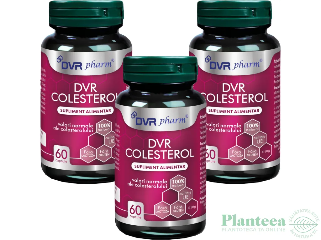 Set DVR Colesterol 3x60cps - DVR PHARM