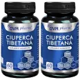 Set Ciuperca tibetana 2x60cps - DVR PHARM