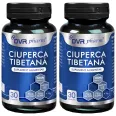 Set Ciuperca tibetana 2x30cps - DVR PHARM
