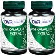 Set Astragalus extract 2x30cps - DVR PHARM