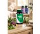 Set Astragalus extract 2x60cps - DVR PHARM