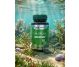 Set Chlorella 350mg 2x60cps - DVR PHARM