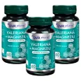 Set Valeriana magneziu 3x60cps - DVR PHARM