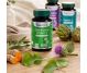 Griffonia extract 5HTP 1x30cps - DVR PHARM