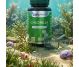 Chlorella 350mg 1x60cps - DVR PHARM