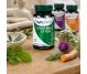 Gymnema extract 1x60cps - DVR PHARM