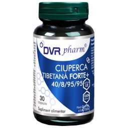 Ciuperca tibetana forte+ 40/8/95/95 30cps - DVR PHARM