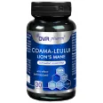 Coama leului 30cps - DVR PHARM