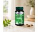 Coada calului extract 30cps - DVR PHARM
