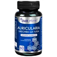 Auricularia [Urechea lui Iuda] 60cps - DVR PHARM