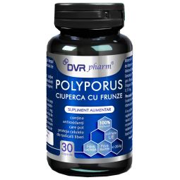 Polyporus [Ciuperca cu Frunze] 30cps - DVR PHARM