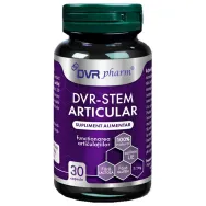 Stem Articular 30cps - DVR PHARM
