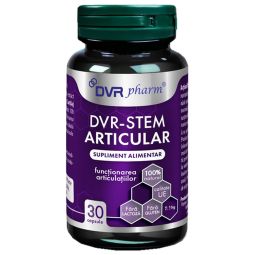 Stem Articular 30cps - DVR PHARM