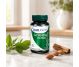 Pachet Gymnema extract 60+30cps - DVR PHARM
