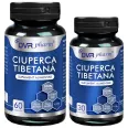 Pachet Ciuperca tibetana 60+30cps - DVR PHARM