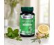 Pachet Anghinare Maslin 400mg 60+30cps - DVR PHARM