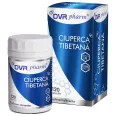 Ciuperca tibetana 120cps - DVR PHARM