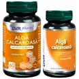 Pachet Alga calcaroasa 60+30cps - DVR PHARM