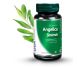 Set Angelica sinensis 3x30cps - DVR PHARM