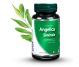 Set Angelica sinensis 3x60cps - DVR PHARM