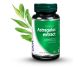 Pachet Astragalus extract 60+30cps - DVR PHARM
