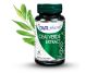 Set Ceai verde extract 2x60cps - DVR PHARM