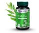 Set Chlorella 350mg 2x60cps - DVR PHARM
