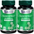 Set Tamaie extract [boswellia] 2x60cps - DVR PHARM