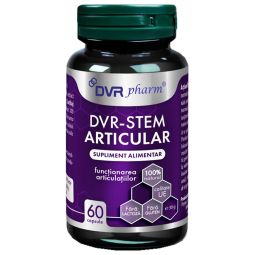 Stem Articular 1x60cps - DVR PHARM