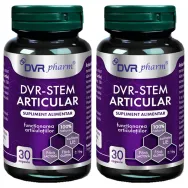 Set Stem Articular 2x30cps - DVR PHARM
