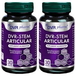 Set Stem Articular 2x30cps - DVR PHARM