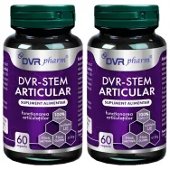 Set Stem Articular 2x60cps - DVR PHARM