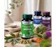 Ashwagandha extract 60cps - DVR PHARM
