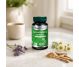 Ashwagandha extract 30cps - DVR PHARM