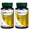 Set Carbo Hepato Biliar 2x30cps - DVR PHARM