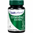 Gymnema extract 1x60cps - DVR PHARM