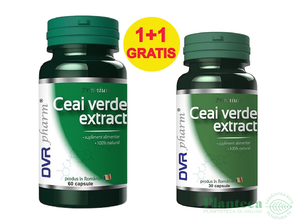 Pachet Ceai verde extract 60+30cps - DVR PHARM