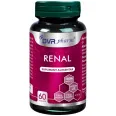 Renal 1x60cps - DVR PHARM