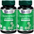 Set Tamaie extract [boswellia] 2x60cps - DVR PHARM