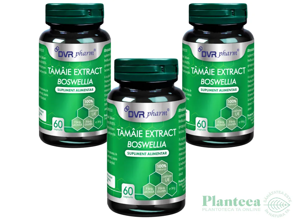 Set Tamaie extract [boswellia] 3x60cps - DVR PHARM