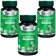 Set Tamaie extract [boswellia] 3x60cps - DVR PHARM